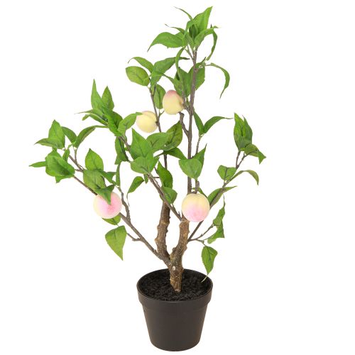 Floristik24 Pesco in vaso con 4 frutti Artificiale H53cm