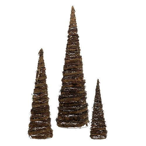 Floristik24 Coni per piante naturali set da 3 40x10/60x15/80x20 cm