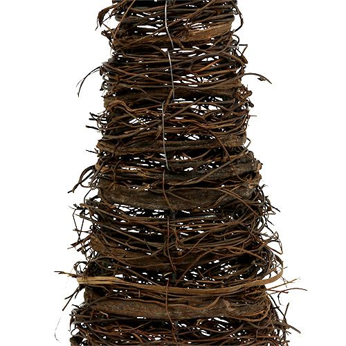 Floristik24 Coni per piante naturali set da 3 40x10/60x15/80x20 cm