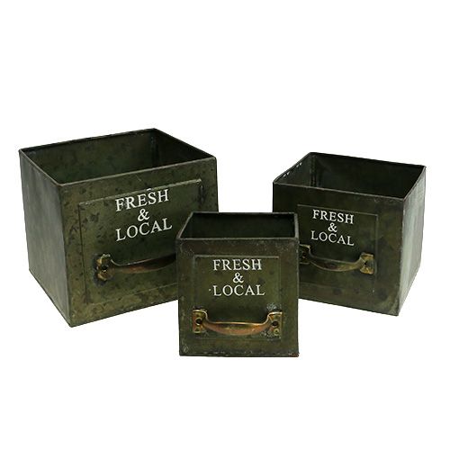 Floristik24 Set di 3 cassetti per piante in lamiera verde antico