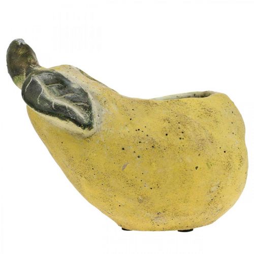 Prodotto Pera da piantare, decorazione autunnale, vaso in cemento L19cm H15,5cm