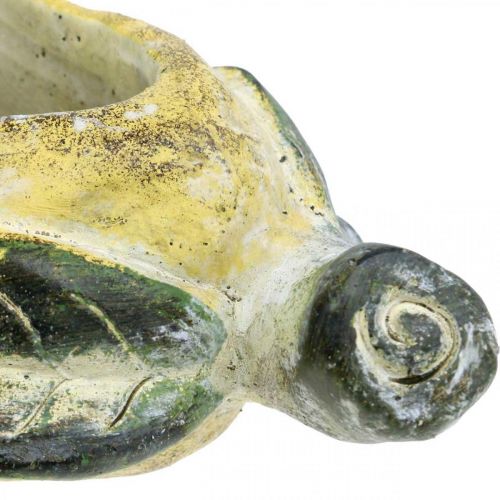 Prodotto Pera decorativa, ceramica per decorare, autunno, vaso per piante L25cm H11cm