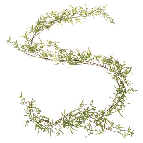 Prodotto Ghirlanda di asparagi per la decorazione di stanze festive e occasioni eleganti, 170 cm