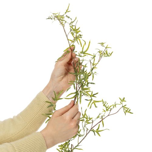 Prodotto Ghirlanda di asparagi per la decorazione di stanze festive e occasioni eleganti, 170 cm