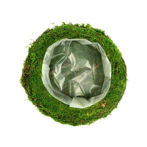 Floristik24 Rami di muschio ciotola per piante Ø20cm