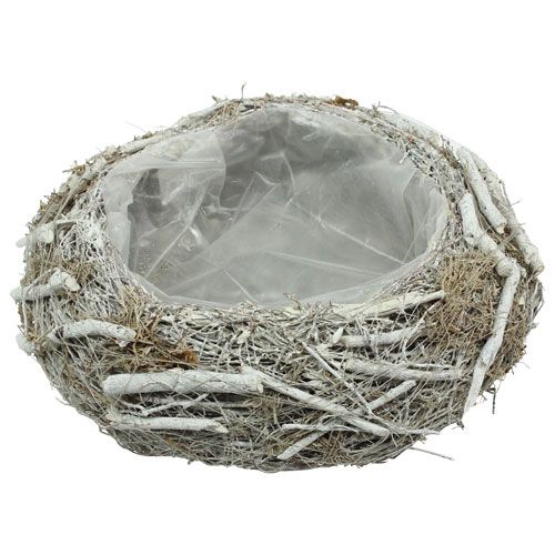 Floristik24 Fioriera grigia Ø25cm