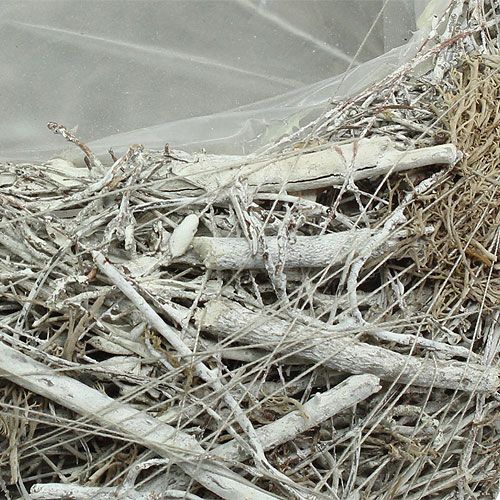 Floristik24 Fioriera grigia Ø25cm