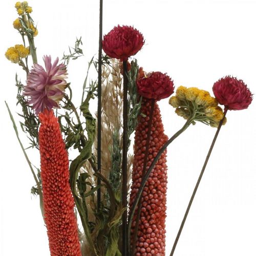 Prodotto Mazzo di fiori secchi con fiori di prato rosa Set fai da te H30-35cm