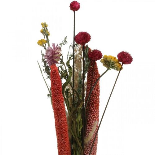 Floristik24 Mazzo di fiori secchi con fiori di prato rosa Set fai da te H30-35cm