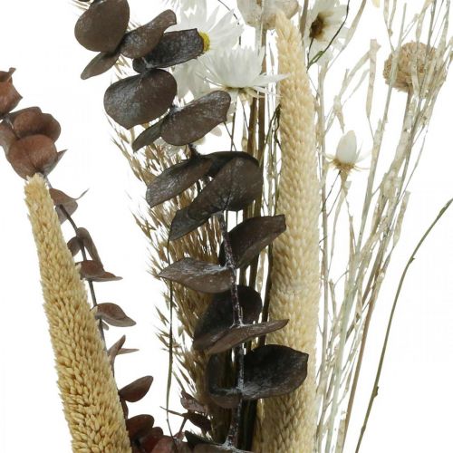 Floristik24 Mazzo di fiori secchi con scatola fai da te bianca di eucalipto H30-35cm