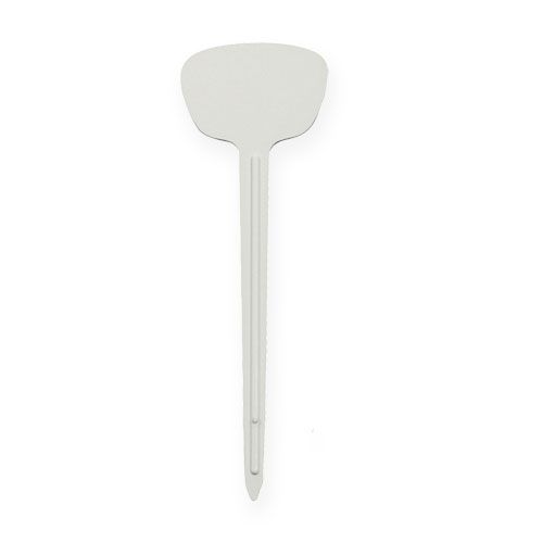 Floristik24 Cartello per piante 12cm 100p