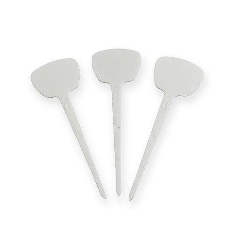 Floristik24 Plant Shield 8cm 100 pezzi