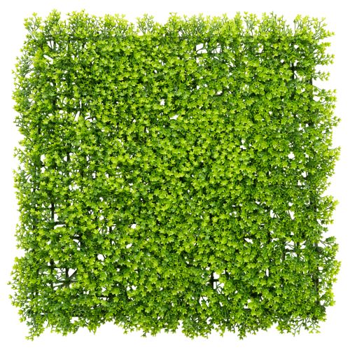 Tappeto di bosso artificiale 55x55 cm per decorazione murale acquistare | Floristik24.it