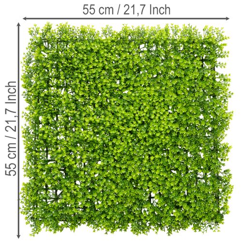 Tappeto di bosso artificiale 55x55 cm per decorazione murale | Floristik24.it