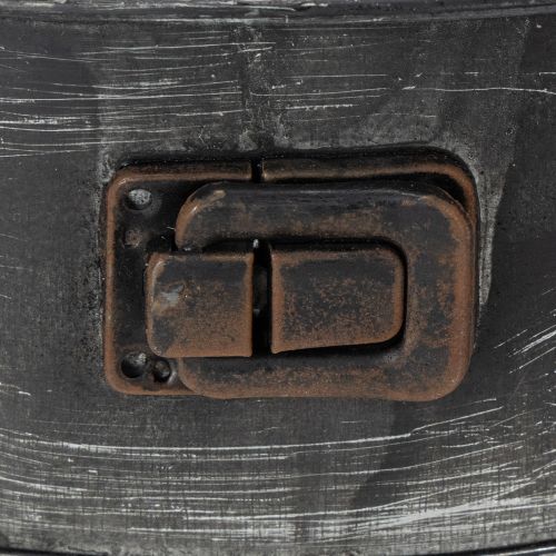 Prodotto Fioriera, teglia decorativa, stampo a cerniera per piante, decorazione in metallo Ø24cm H7.5cm