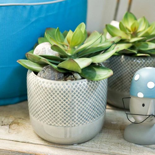 Floristik24 Fioriera in ceramica, fioriera intrecciata, vaso in ceramica Ø13cm 3pz