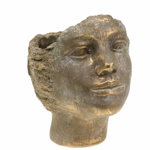 Floristik24 Testa di pianta busto di pianta oro H20cm