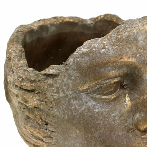 Floristik24 Testa di pianta busto di pianta oro H20cm