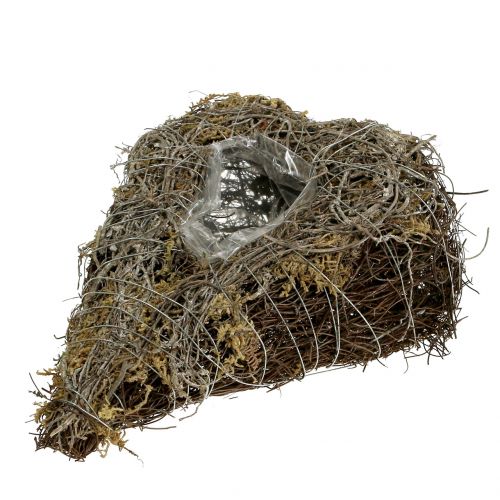 Floristik24 Cuore vegetale fatto di viti e licheni Natura 25 cm x 19 cm