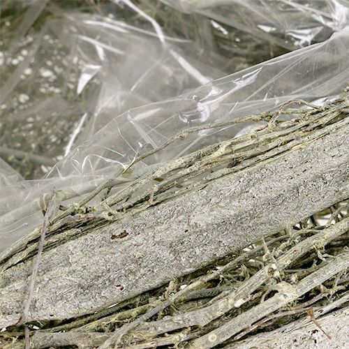 Floristik24 Cuore verde L25cm B20cm