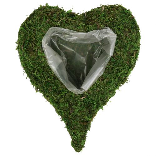 Floristik24 Muschio a cuore vegetale 28 cm x 23 cm