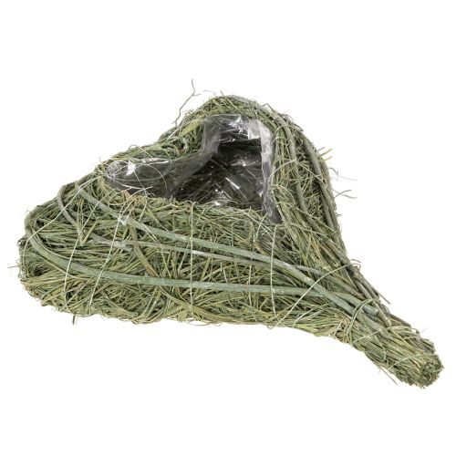 Cuore di pianta naturale per composizioni floreali con lamina, 25 cm