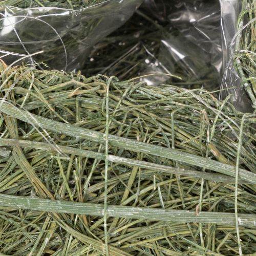 Cuore di pianta naturale per composizioni floreali con lamina, 25 cm | Floristik24.it