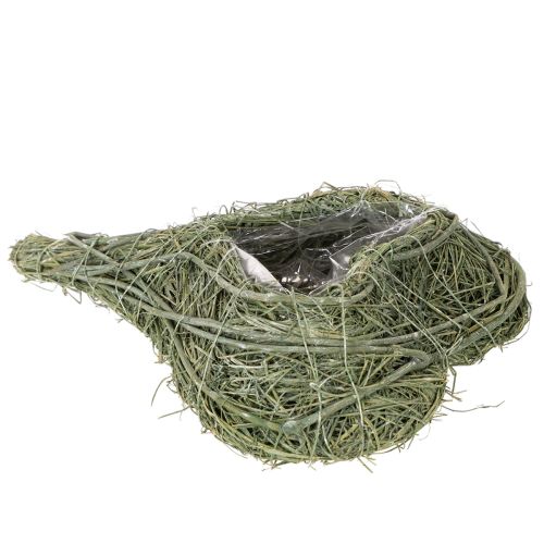 Cuore di pianta naturale per composizioni floreali con lamina, 25 cm | Floristik24.it
