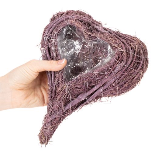 Pianta a forma di cuore con decorazione in lamina, 24 cm. | Floristik24.it