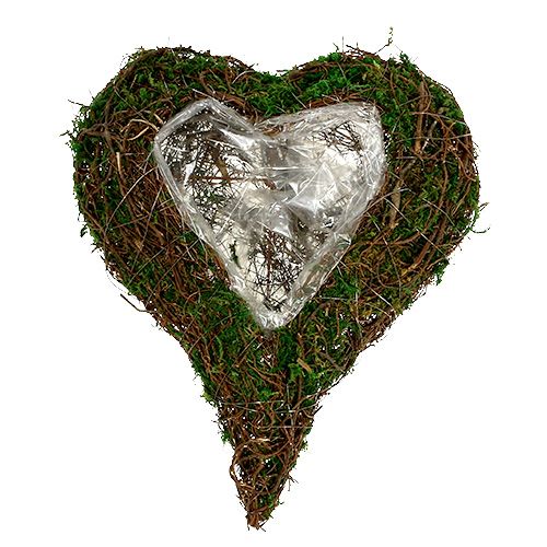 Prodotto Cuore della pianta come base di composizione 30x35cm H8cm