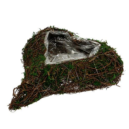 Prodotto Cuore della pianta come base di composizione 30x35cm H8cm