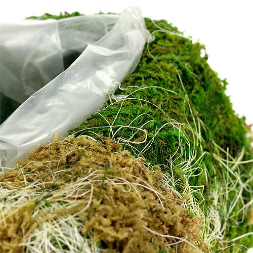 Floristik24 Muschio di cuore vegetale 30 cm x 20 cm 2 pezzi