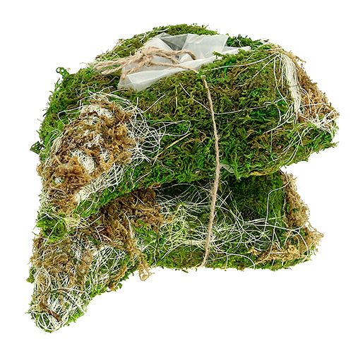 Floristik24 Muschio di cuore vegetale 30 cm x 20 cm 2 pezzi