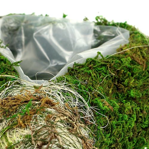 Floristik24 Muschio di cuore vegetale 35 cm x 25 cm