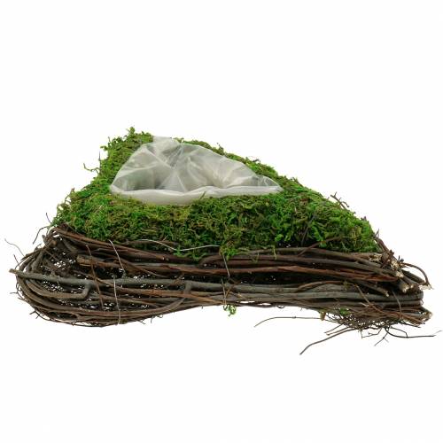 Floristik24 Pianta vite cuore, muschio 26×36 cm H9 cm