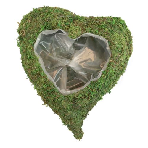 Pianta Cuore Verde Muschio Portapianta cuore 20x20x5.5cm
