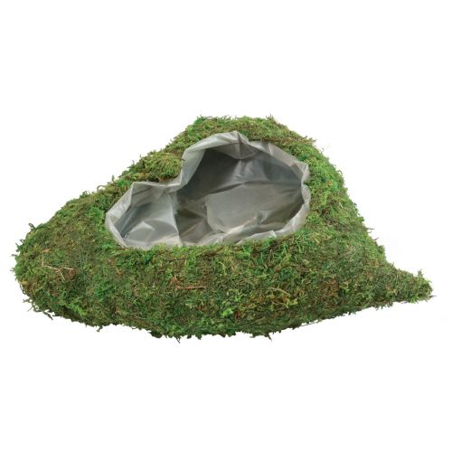 Floristik24 Pianta cuore verde muschio ciotola per piante cuore 26×30×8 cm