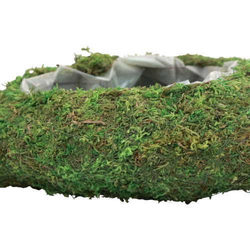 Floristik24 Pianta cuore verde muschio ciotola per piante cuore 26×30×8 cm