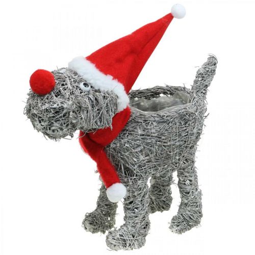 Prodotto Cane da piantare, decorazione natalizia, cesto per piante, Avvento H30cm L29,5cm