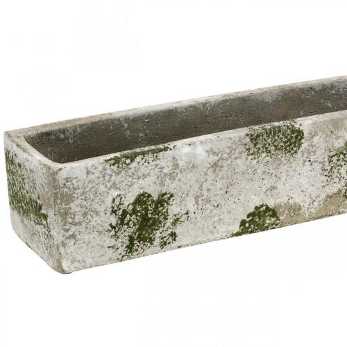 Floristik24 Fioriera in cemento aspetto antico Fioriera rettangolare 40×8×7 cm
