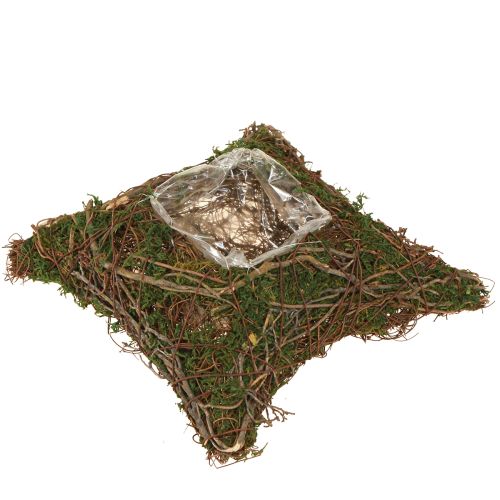 Cuscino per piante con muschio e tralci, ciotola naturale 20×20×6,5 cm