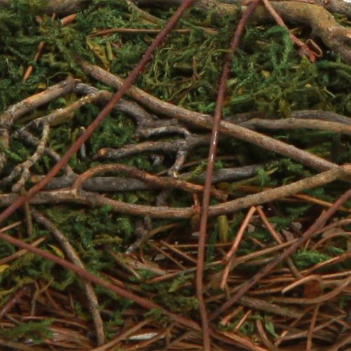 Prodotto Cuscino per piante con muschio e tralci, ciotola naturale 20×20×6,5 cm