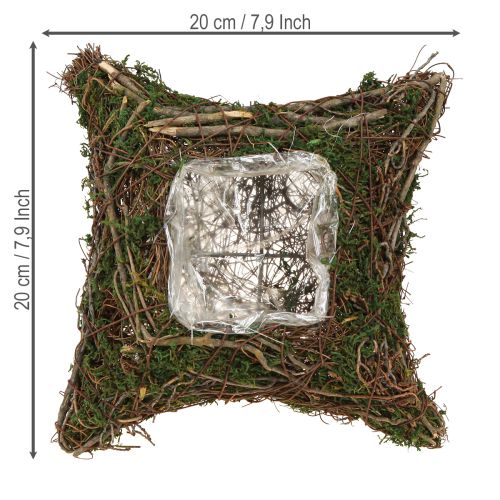 Prodotto Cuscino per piante con muschio e tralci, ciotola naturale 20×20×6,5 cm