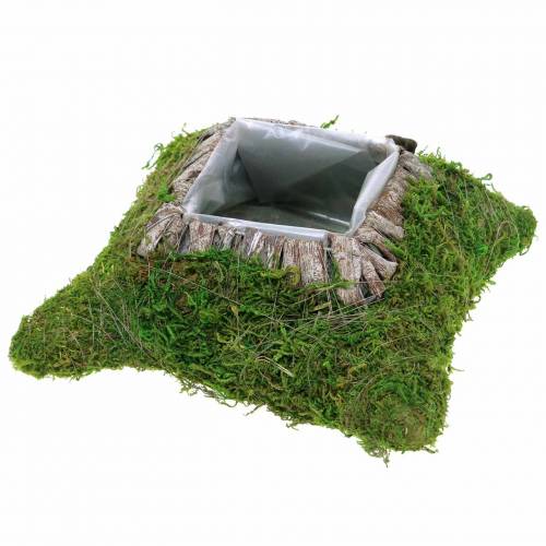 Cuscino per piante muschio, corteccia 25 cm × 25 cm