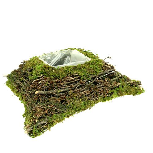 Floristik24 Muschio cuscino vegetale con vite 30 cm x 30 cm