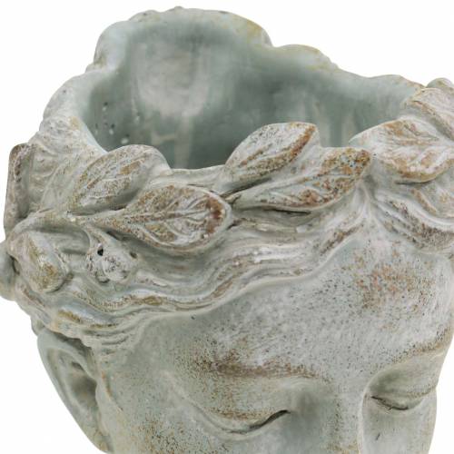 Prodotto Testa di pianta busto grigio-blu Ø8cm H15cm
