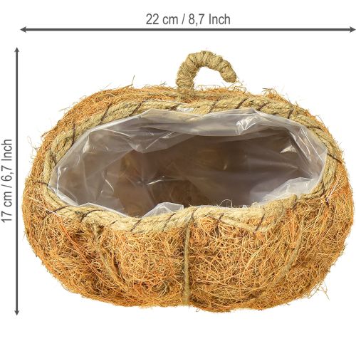 Prodotto Cestino per piante zucca decorazione autunnale arancione Ø22cm H17cm
