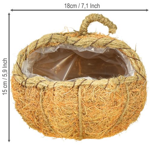 Prodotto Cestino porta piante zucca con decorazione autunnale in lamina arancione Ø18cm H15cm