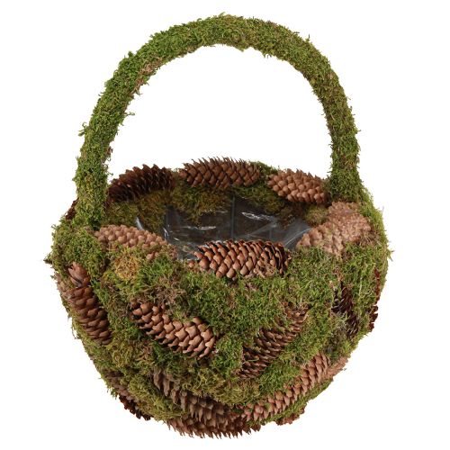 Prodotto Cesto per piante Cesto di coni di muschio di abete rosso con manico Ø32cm H42cm