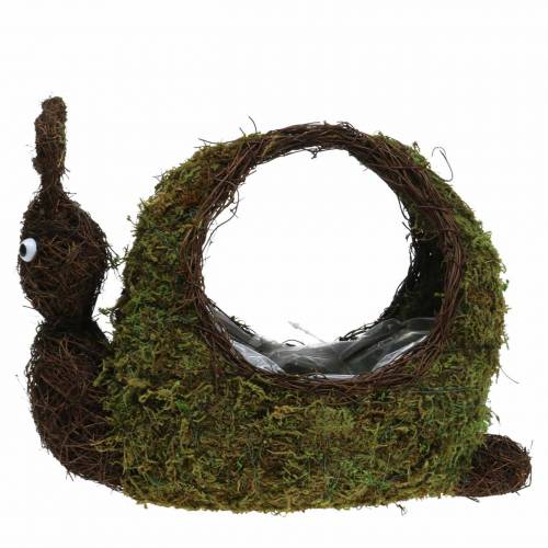 Floristik24 Cesto per piante lumaca muschio marrone 29x13cm H23cm